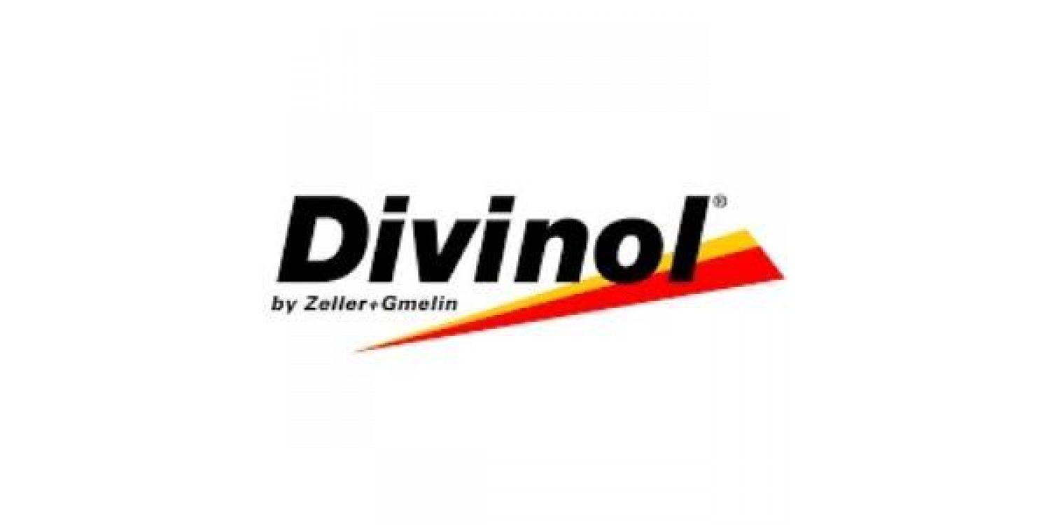 DIVINOL SYSTEM CLEANER DPF (250 ML)